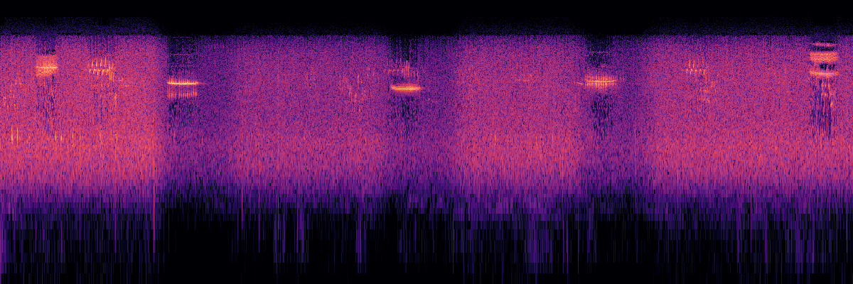 Spectrogram: Varied Thrush Song Long Sequence